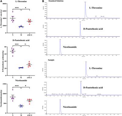 Biomarker identification and pathway analysis of Astragalus membranaceus and Curcuma zedoaria couplet medicines on adenine-induced chronic kidney disease in rats based on metabolomics